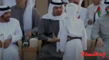 احتفال استثنائي بالإمارات… أجمل لقطات مسيرة الاتحاد في مهرجان الشيخ زايد 54